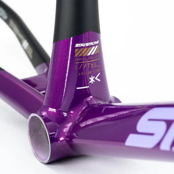 Stay Strong V5 Disc Only Frame 2025 Purple/Black